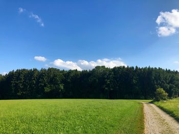 Scenic view of trees on field against sky