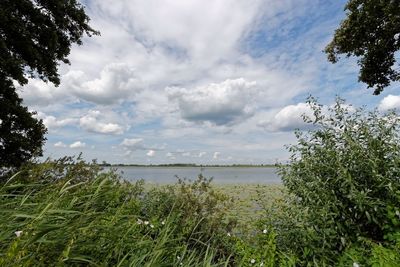 Scenic view of landscape against cloudy sky