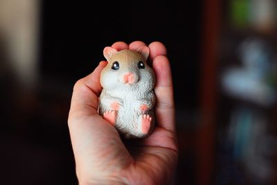 Close-up of hand holding small