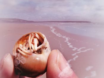 Close-up of hand holding ice cream over sea