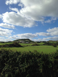 Scenic view of field against sky