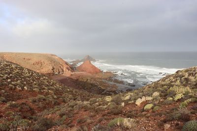 Scenic view of landscape against sky