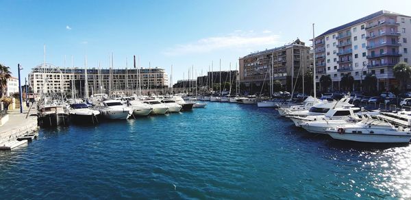 Sailboats moored in harbor