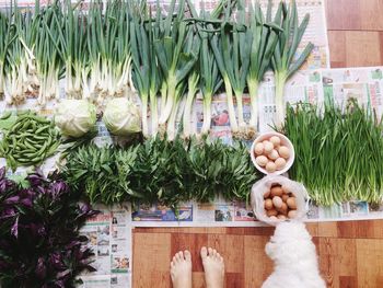 Close-up of homegrown vegetables