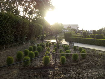 Scenic view of farm against sky