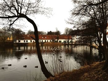 River with buildings in background