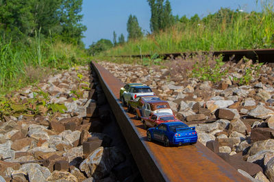 Railroad track amidst trees on field