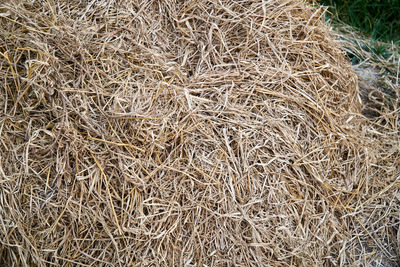 Full frame shot of hay bales on field