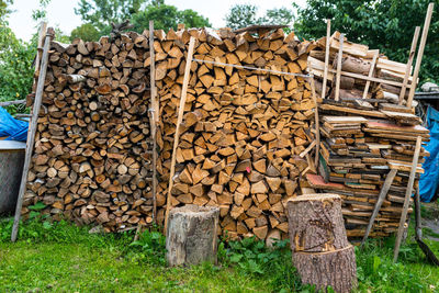 Stack of logs in forest