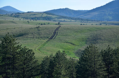 Grass path through green fields to hills and mountains with conifer trees