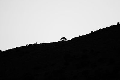 Low angle view of silhouette trees on hill against clear sky