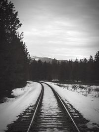 Railroad tracks in winter