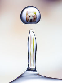 Close-up of glass on table against white background