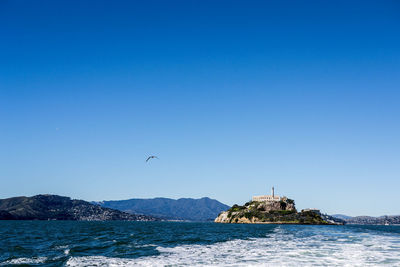 Birds flying over sea against clear blue sky
