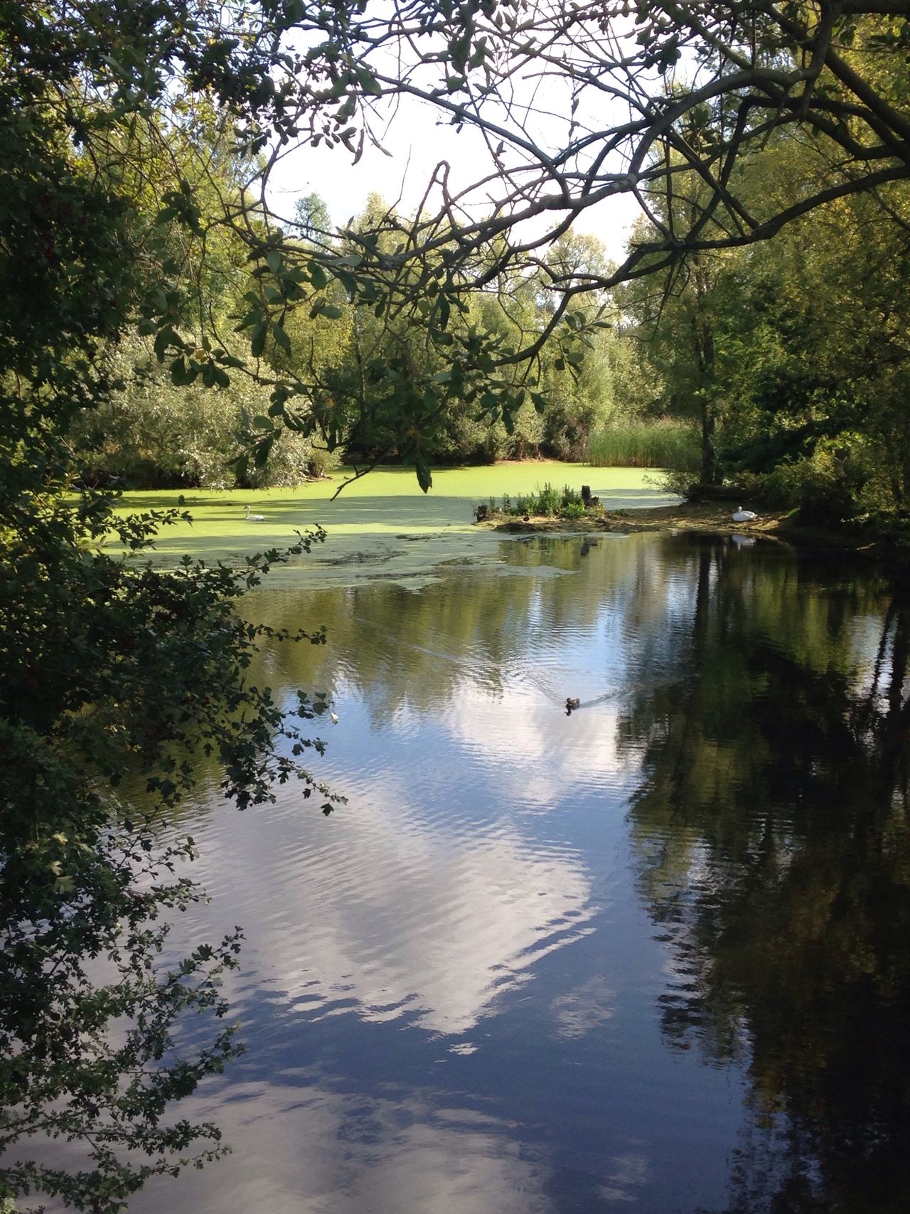 Long Melford Country Park