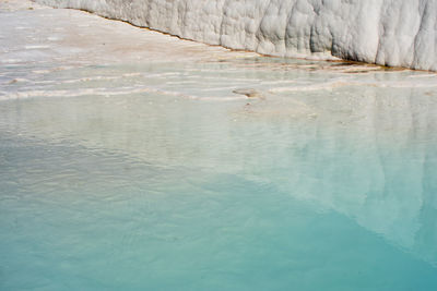 View of birds swimming in pool