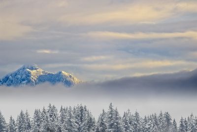 Low angle view of snowcapped mountains against sky