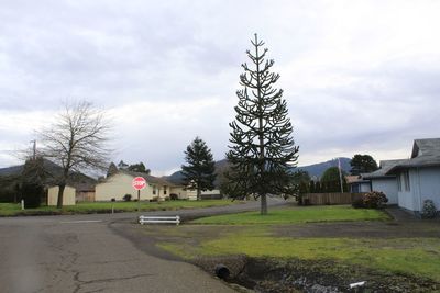 Houses by road against sky in city