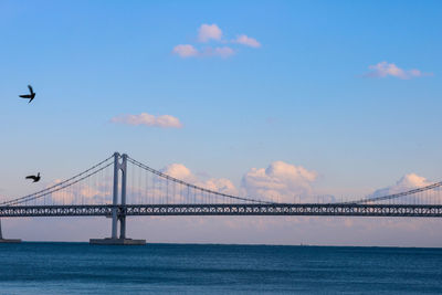 Birds flying over suspension bridge against blue sky