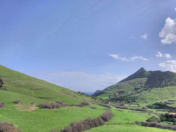 Scenic view of agricultural field against blue sky