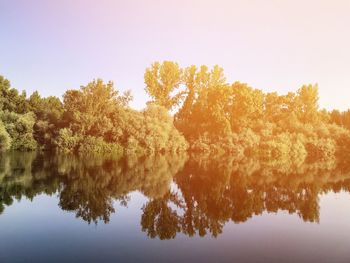 Reflection of trees in lake against sky