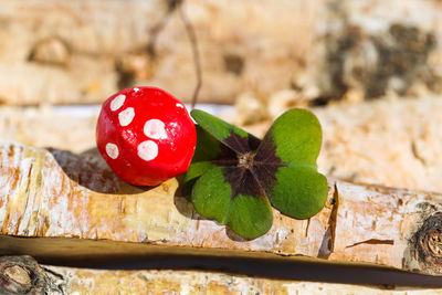 Close-up of strawberry on plant