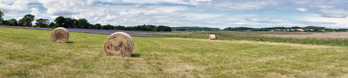 Hay bales on field against sky