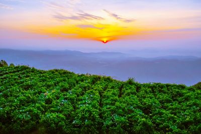 Scenic view of landscape against sky at sunset