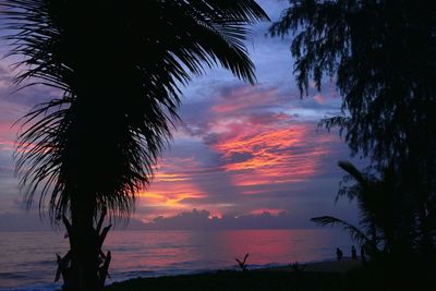 Silhouette palm trees on beach against sky during sunset