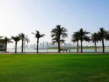 Palm trees on field against clear sky