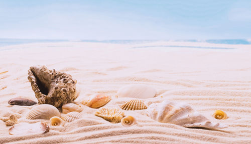 High angle view of sand on beach