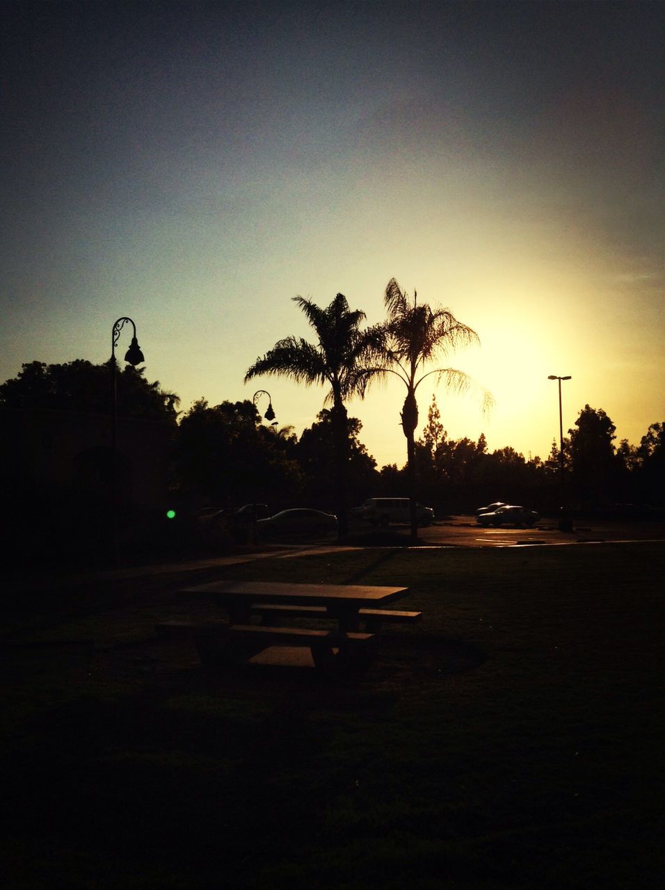 sunset, silhouette, tree, road, transportation, sun, street, tranquility, clear sky, sky, tranquil scene, car, dark, nature, copy space, sunlight, beauty in nature, scenics, outdoors, no people