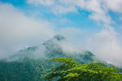 Scenic view of tree mountains against sky