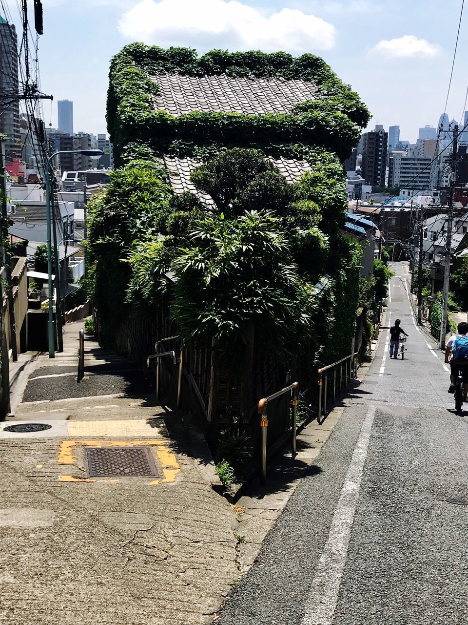 EMPTY ROAD ALONG BUILDINGS AND TREES