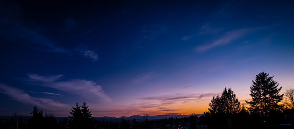 Low angle view of silhouette trees against sky at sunset