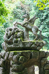 Low angle view of old statue against plants