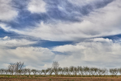 sky