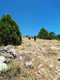 People walking on landscape against clear blue sky