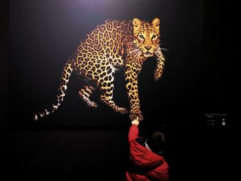 Boy touching leopard on device screen in darkroom