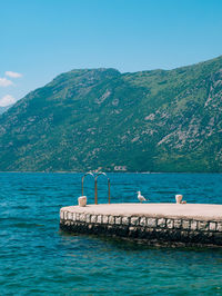 Scenic view of sea against blue sky