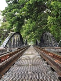 Railroad tracks amidst trees in city