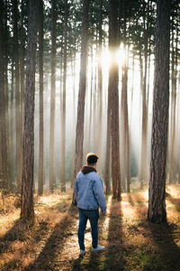 Rear view of man walking on footpath in forest