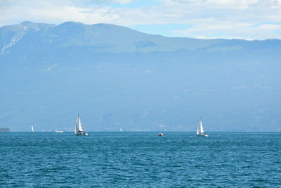 Sailboat sailing on sea against sky