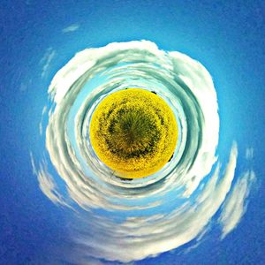 Directly above shot of yellow flower against blue sky
