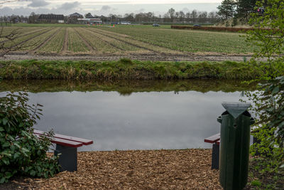 Scenic view of agricultural field by lake