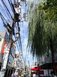 Low angle view of trees and buildings against sky