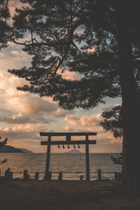 Silhouette trees on beach against sky during sunset