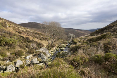 environment