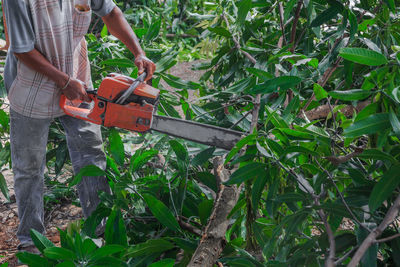 Man working on plants