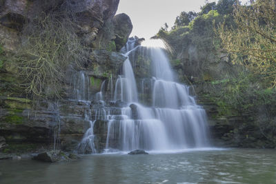 Scenic view of waterfall in forest